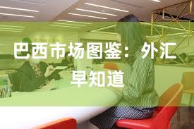 巴西市场图鉴:外汇 早知道